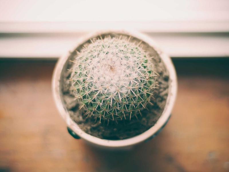 支付盾<br>风控规则与异常拦截